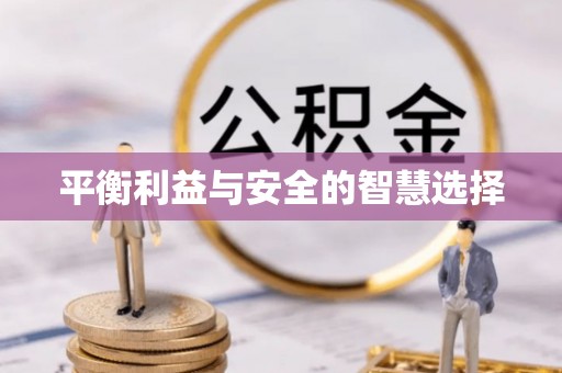 孝南平衡利益与安全的智慧选择