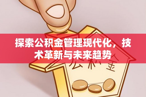 孝南探索公积金管理现代化，技术革新与未来趋势