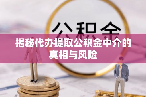 孝南揭秘代办提取公积金中介的真相与风险