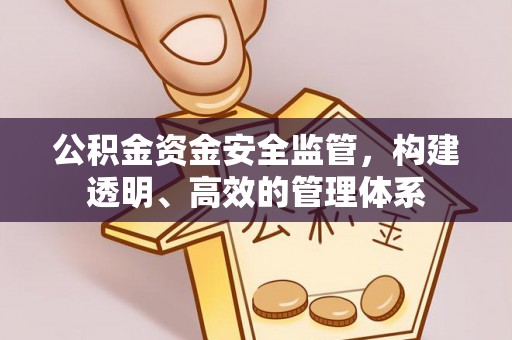 孝南公积金资金安全监管，构建透明、高效的管理体系