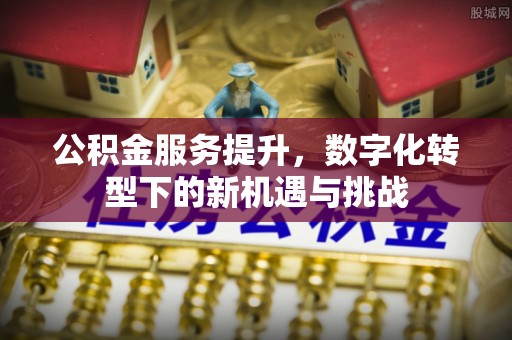 孝南公积金服务提升，数字化转型下的新机遇与挑战