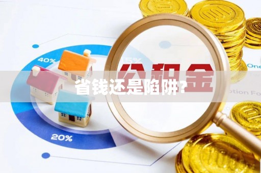 孝南省钱还是陷阱？