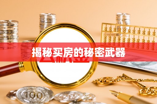孝南揭秘买房的秘密武器