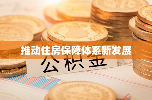 孝南推动住房保障体系新发展