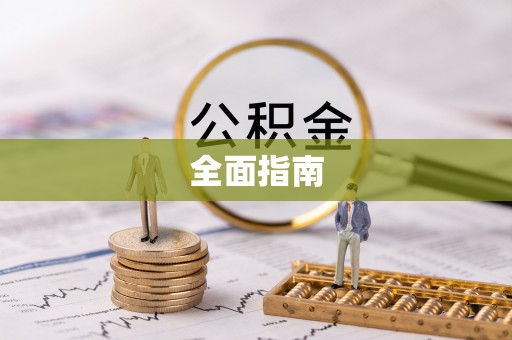 孝南全面指南