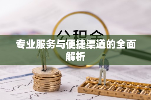 孝南专业服务与便捷渠道的全面解析