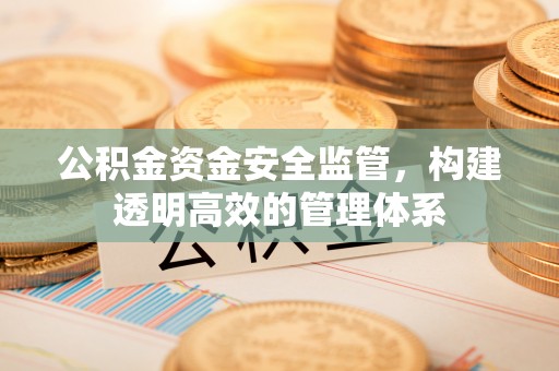 孝南公积金资金安全监管，构建透明高效的管理体系