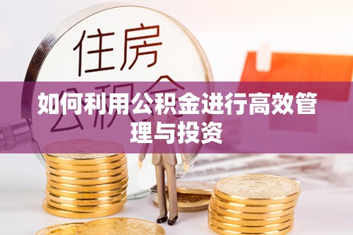 孝南如何利用公积金进行高效管理与投资