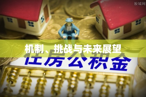 孝南机制、挑战与未来展望