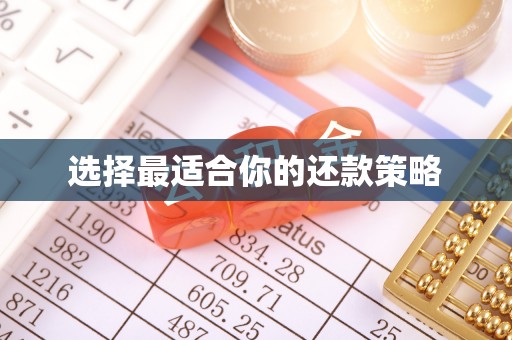 孝南选择最适合你的还款策略