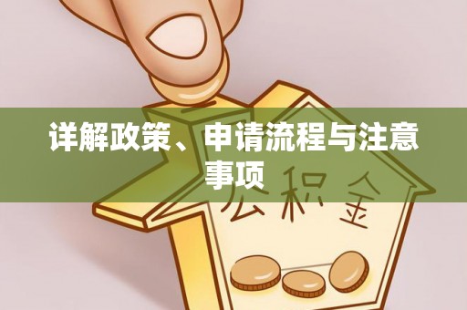 孝南详解政策、申请流程与注意事项
