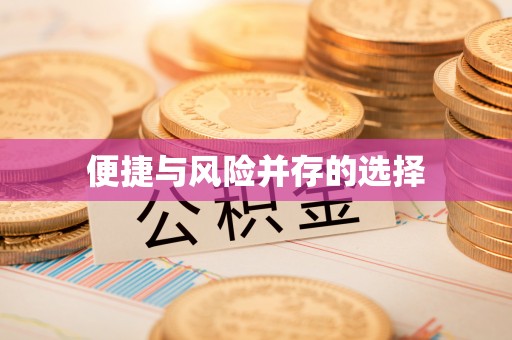 孝南便捷与风险并存的选择