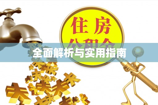 孝南全面解析与实用指南