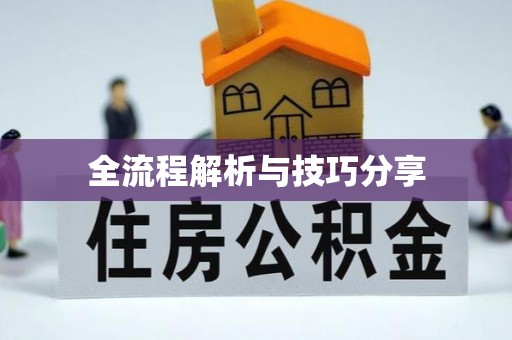 孝南全流程解析与技巧分享